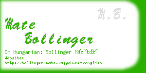 mate bollinger business card
